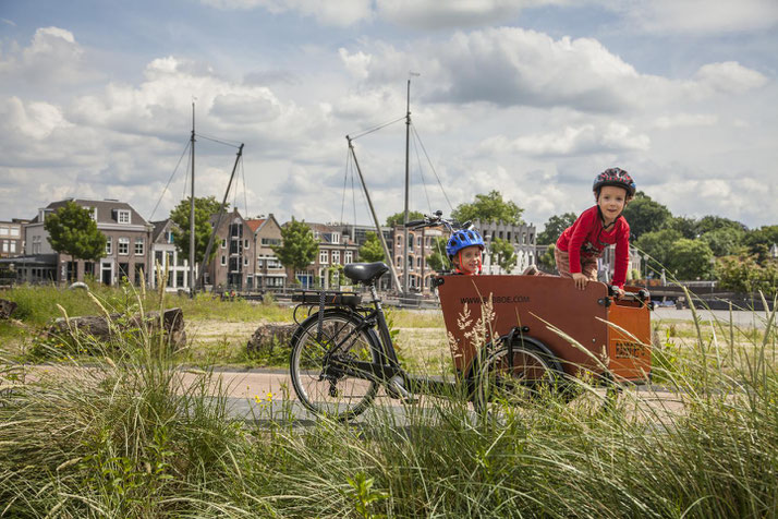 Finden Sie Ihr eigenes Lasten e-Bike in Schleswig