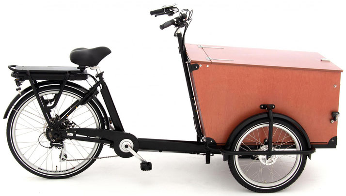 Babboe Transporter-E 2020