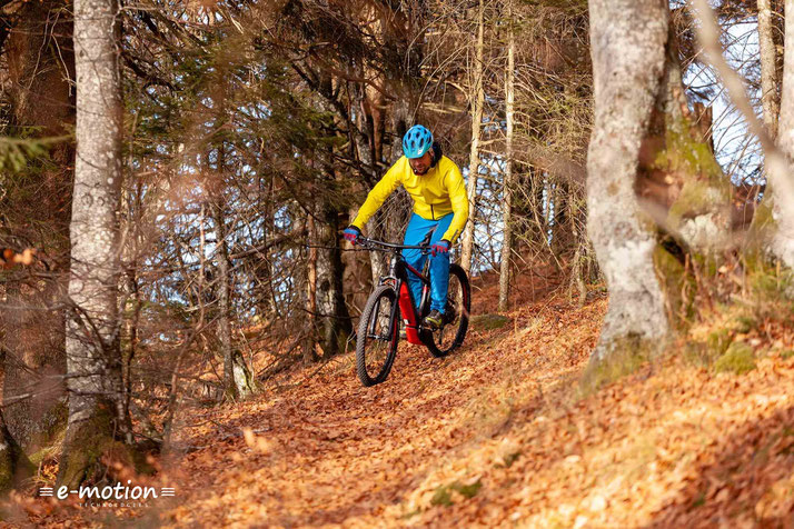 Einem Ausflug auf den Trail steht Einem mit dem Corratec X Vert Pro nichts mit Wege.