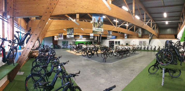 Erleben Sie die große Markenvielfalt in der e-motion e-Bike Welt in Ahrensburg