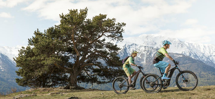 Giant E Bikes In Erfurt Testen Und Kaufen E Motion E Bike Experten