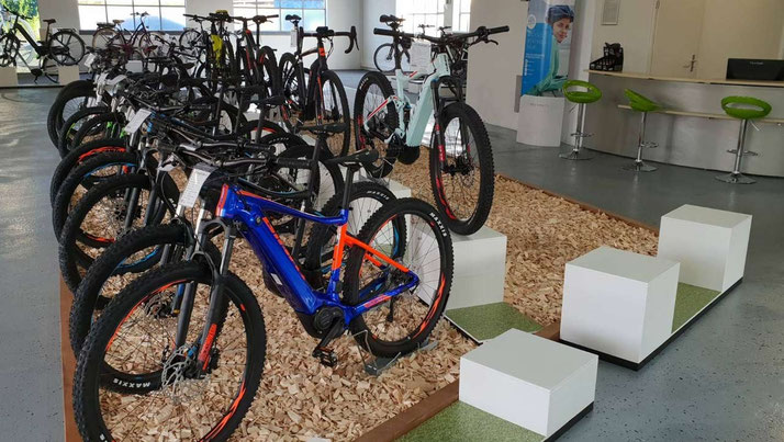 Giant e-Bikes, Pedelecs und e-Mountainbikes in der e-motion e-Bike Welt Karlsruhe