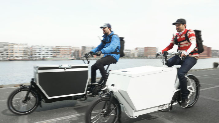 Urban Arrow In Stuttgart Jetzt Probefahrt Vereinbaren E Motion E Bike Experten