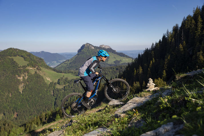 M1 Sporttechnik Spitzing Evolution e-MTB/S_Pedelec/R-Pedelec 2020