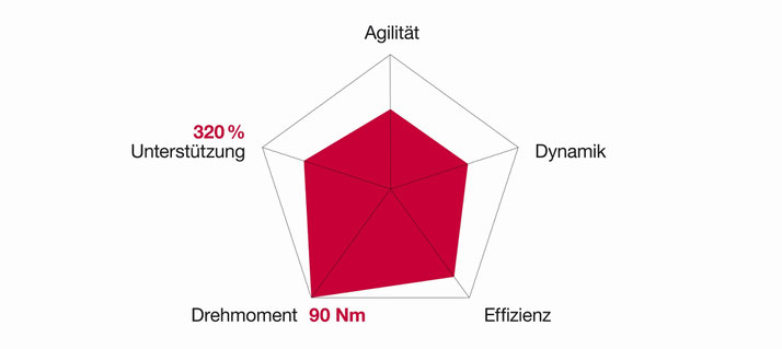 Das Antriebsprofil des Brose Drive T