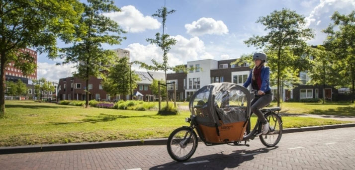 Babboe e-Bikes und Pedelecs in der e-motion e-Bike Welt in Erfurt