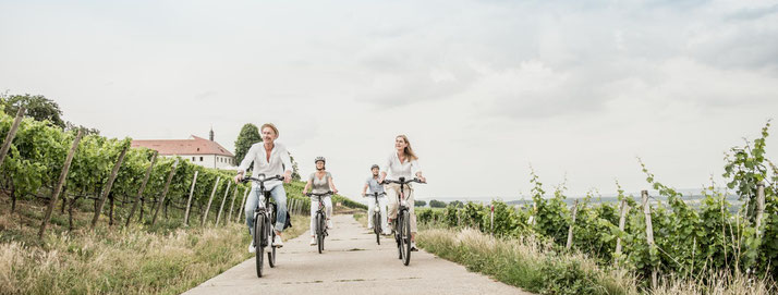 Winora e-Bikes und Pedelecs in der e-motion e-Bike Welt in Hamm