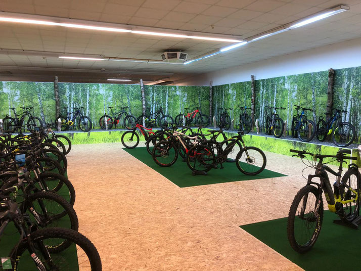 Die e-motion e-Bike Welt in Nürnberg bietet Premium e-Bikes vieler Marken an.