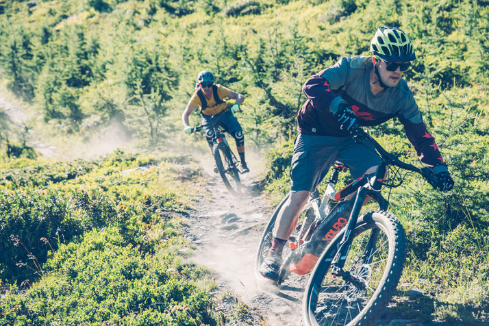 e-Mountainbikes verschiedener Marken in Nürnberg West vergleichen, kaufen oder Probe fahren