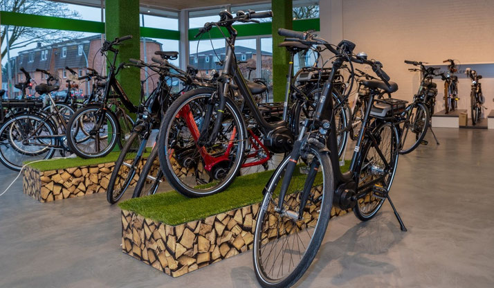 Die e-motion e-Bike Welt in Schleswig