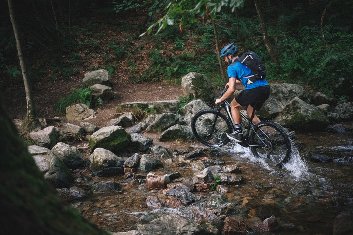 Cannondale Trail Neo 2020 e-Mountainbike