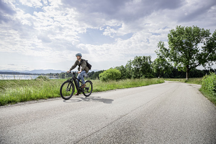 Riese & Müller - Delite e-Bikes 2020
