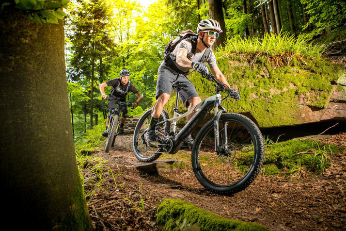 Pedelecs und S-Pedelecs finden Sie in den e-motion e-Bike Shops in ganz Deutschland.