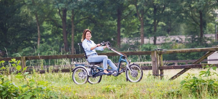 Dreirad für Erwachsene 2020
