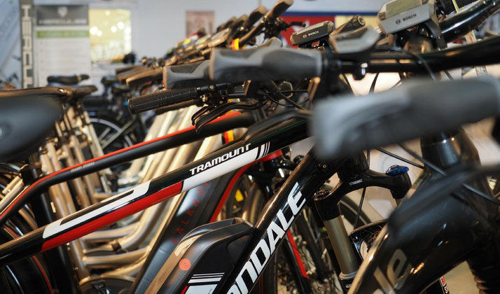 Online-Beratungstermin buchen in der e-motion e-Bike Welt Saarbrücken
