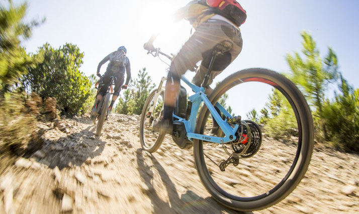 Der Bosch e-Mountainbike Modus für sportliche Herausforderungen