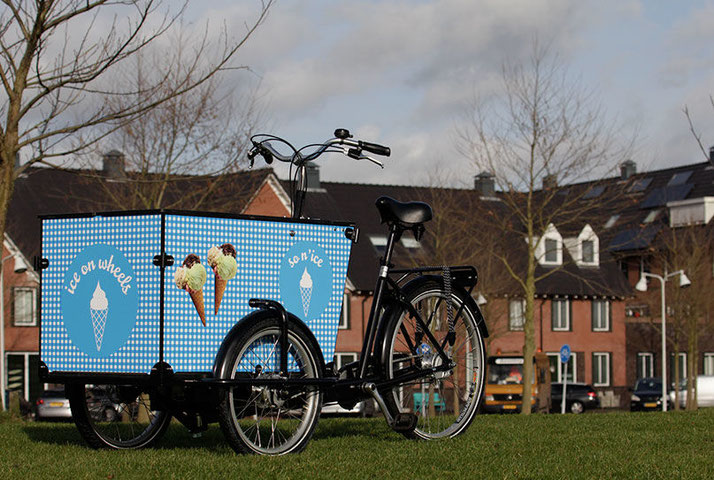 Babboe Transporter-E Lasten e-Bike, Lastenfahrrad mit Elektromotor, e-Cargobike 2020