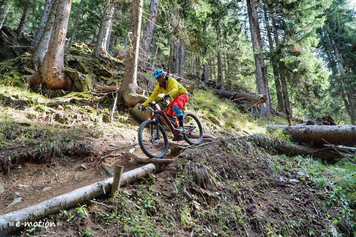 Der e-Bike Antrieb des Atom-X Lynx 6 Pro entfaltet seine Kraft linear zum Pedaldruck und sorgt für ein angenehmes Fahrgefühl