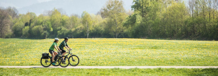 Cannondale e-Bikes und Pedelecs in der e-motion e-Bike Welt in Erfurt kaufen