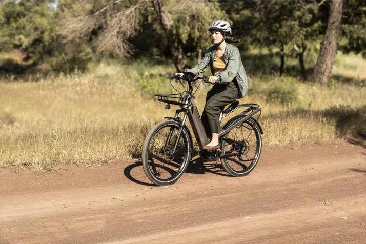 Riese & Müller Culture GT e-Bikes 2020