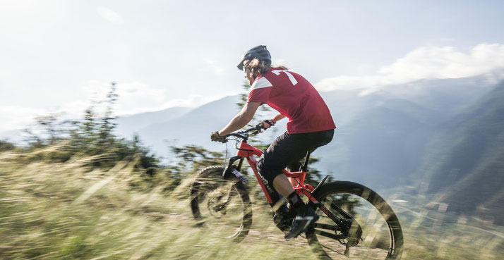 Haibike e-Bikes und Pedelecs in der e-motion e-Bike Welt in Stuttgart