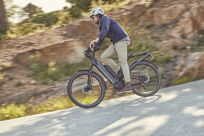 Riese Und Muller Homage City Und Trekking E Bikes 2020 E Motion E Bike Experten