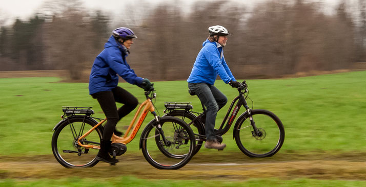 Corratec E-Power Life e-Bike 2020
