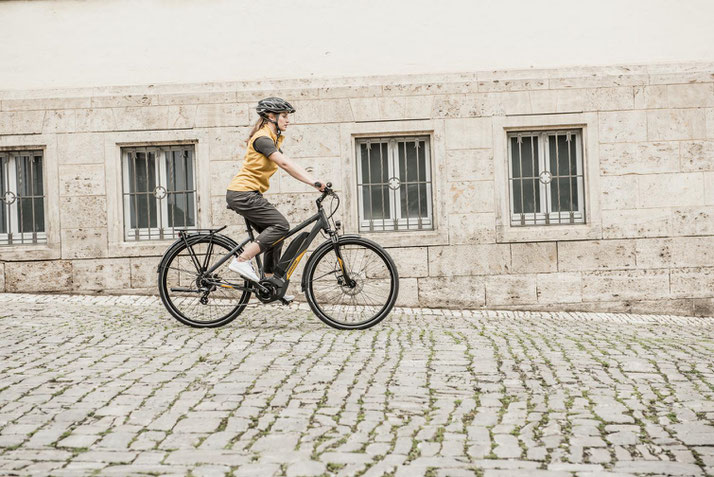 In Ahrensburg können Sie auch Trekking e-Bikes für eine geplante Tour mieten.