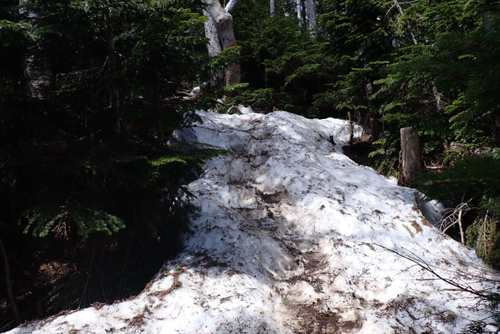 八ヶ岳 残雪情報 2025