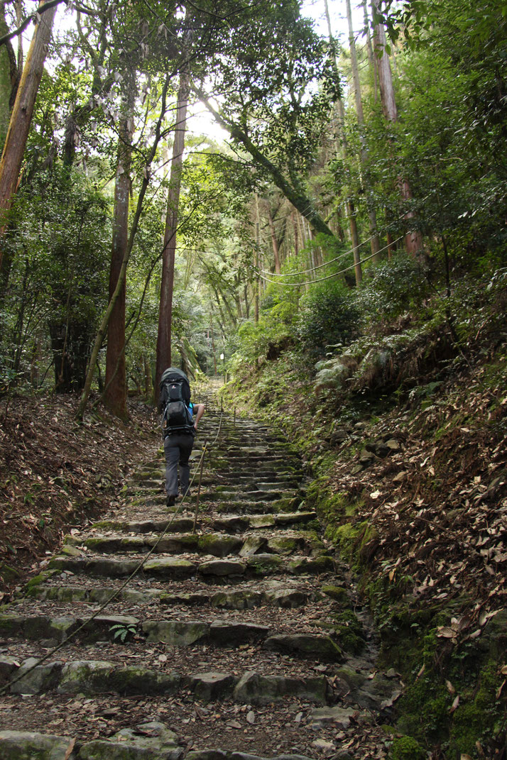 Kyoto - 5 Family Friendly Hikes - Hiking Kami-Daigoji