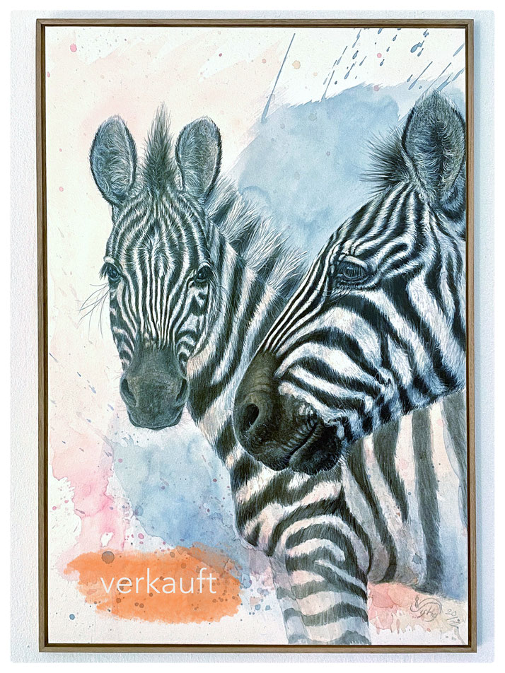 Anum und Fenya die Steppenzebras 40 x 57 cm