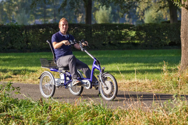 Van Raam Easy Rider Sessel-Dreirad Elektro-Dreirad