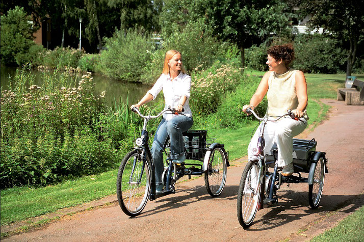Dreirad Fahrräder im Dreirad-Zentrum in Nordheide kaufen