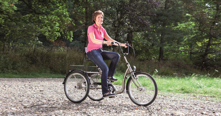 Pfau-Tec Comfort Dreirad Elektro-Dreirad in Saarbrücken