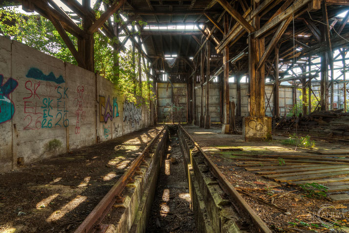 Abandoned Railyard in Schwerin, Germany