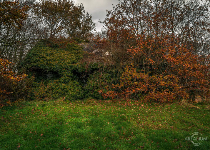 Abandoned Farmhouse in Denmark