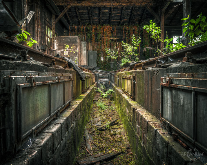 Abandoned Railyard in Germany