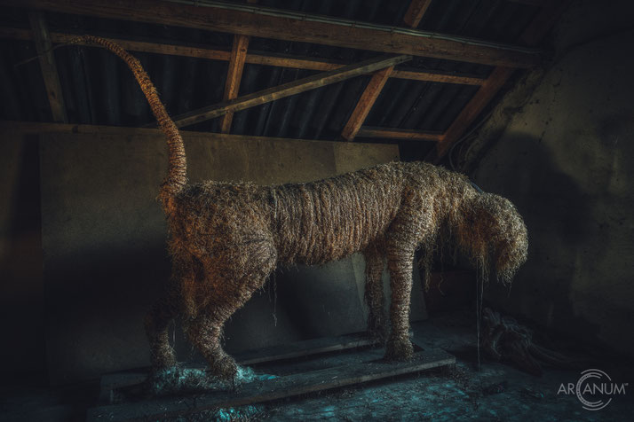 Abandoned Zoologial Museum and Taxidermy