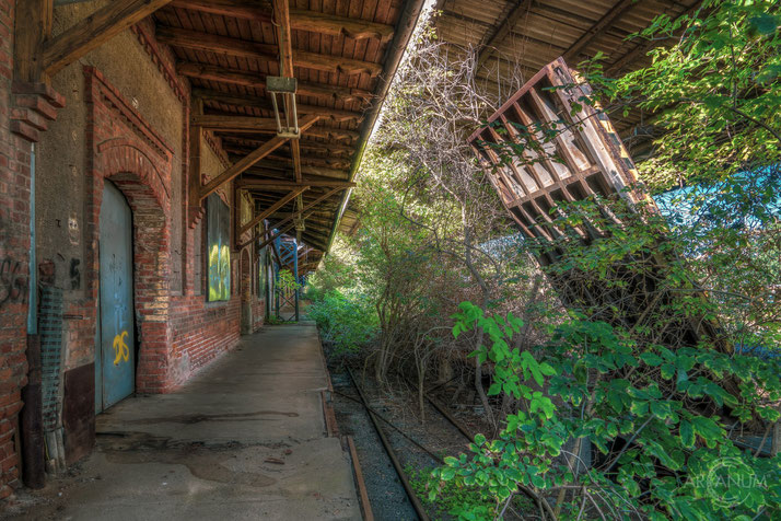 Abandoned Freight Depot in Schwerin, Germany