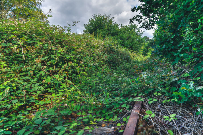 Disused Railway Line in Northern Germany