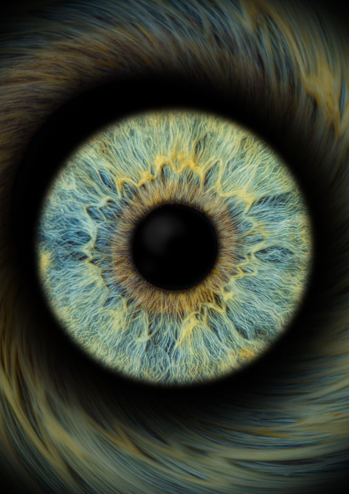 Bild von einer Iris