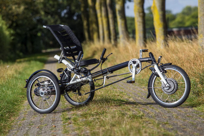 Van Raam Easy Sport Dreirad für Erwachsene