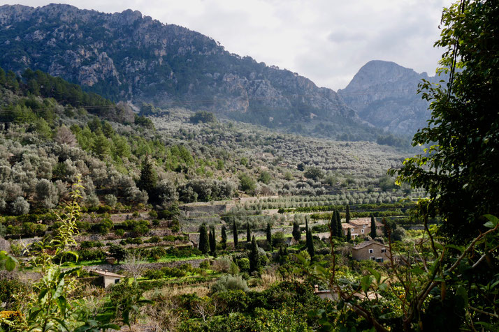  Fornalutx Mallorca