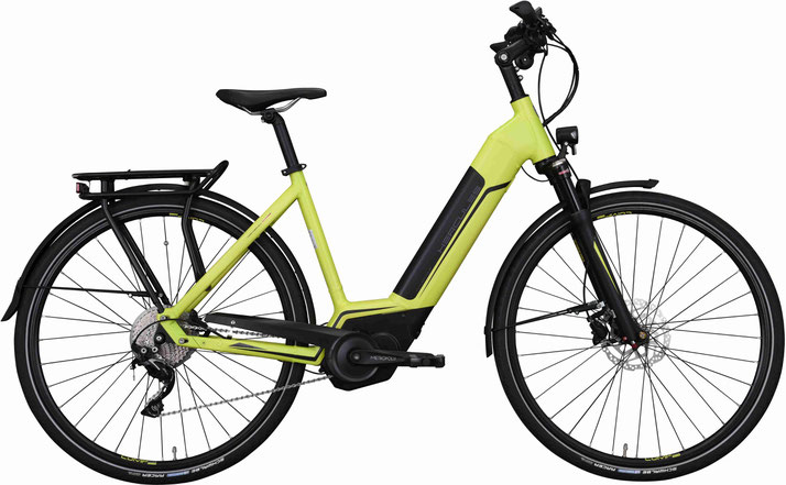 Hercules Futura Comp I - 2019
