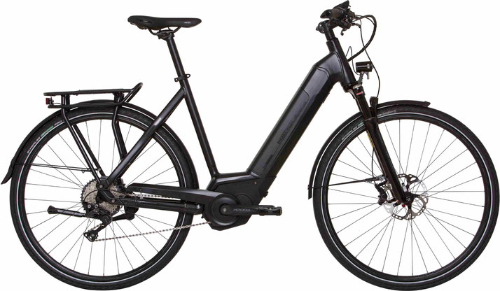 Hercules Futura Pro I 2019