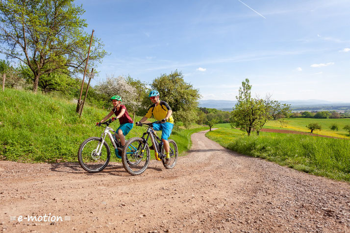 Unser Testbericht zum Haibike XDURO Nduro