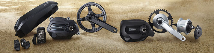 Für den Shimano Steps E6100 gibt es zwei Akku Varianten