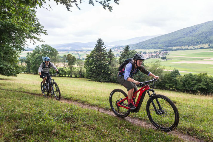 Speed-Pedelecs probefahren, kaufen und von Experten beraten lassen in der e-motion e-Bike Welt in Aarau-Ost