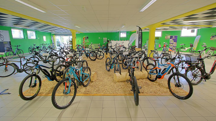 Focus e-Bikes und Pedelecs in der e-motion e-Bike Welt in Bern
