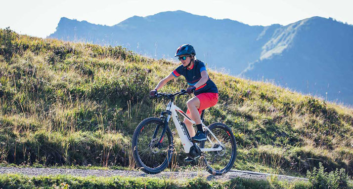 Bulls e-Bikes und Pedelecs in Aarau-Ost kaufen